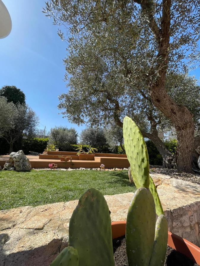 Villa Dama Cisternino Luaran gambar