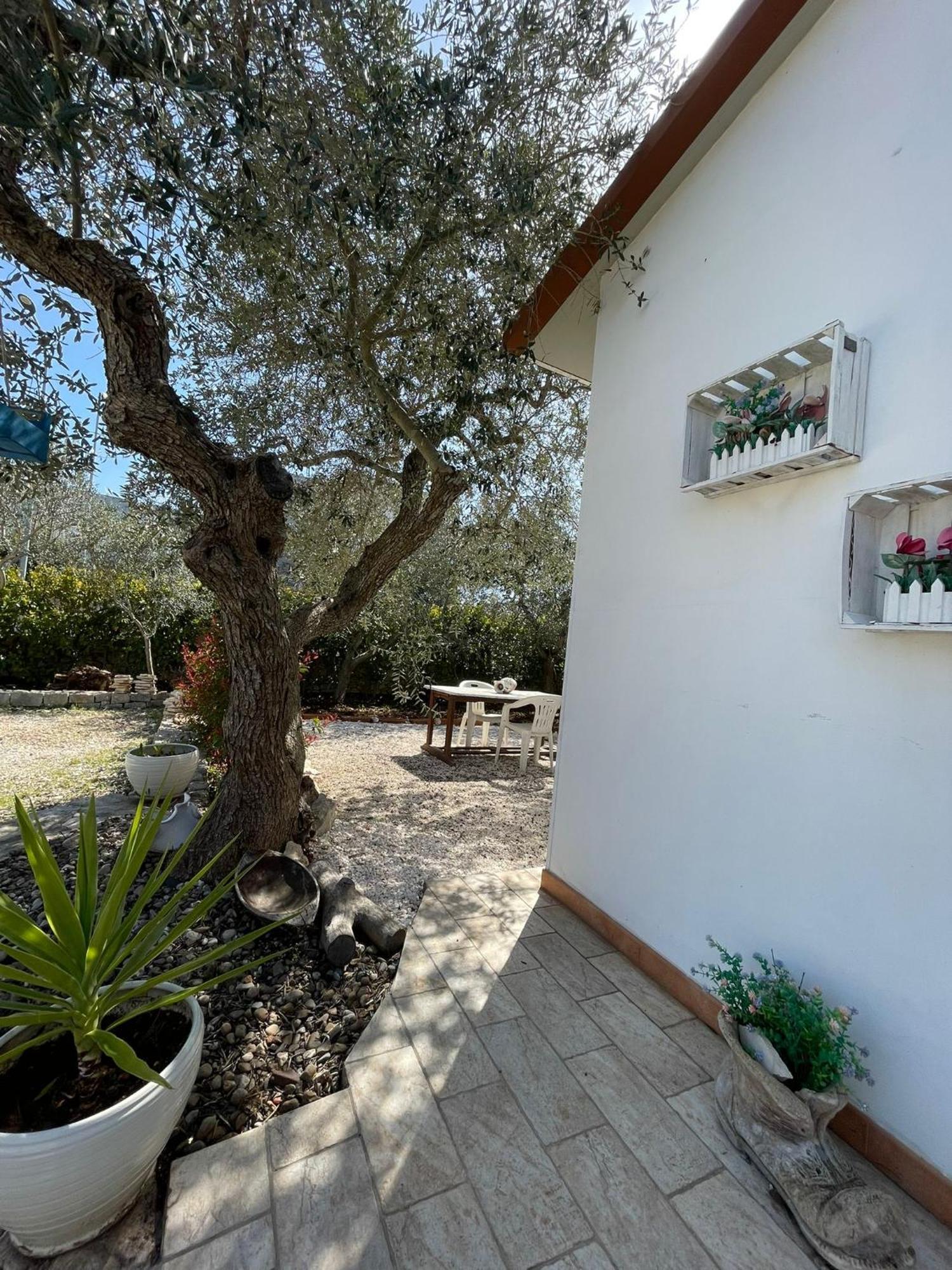 Villa Dama Cisternino Luaran gambar